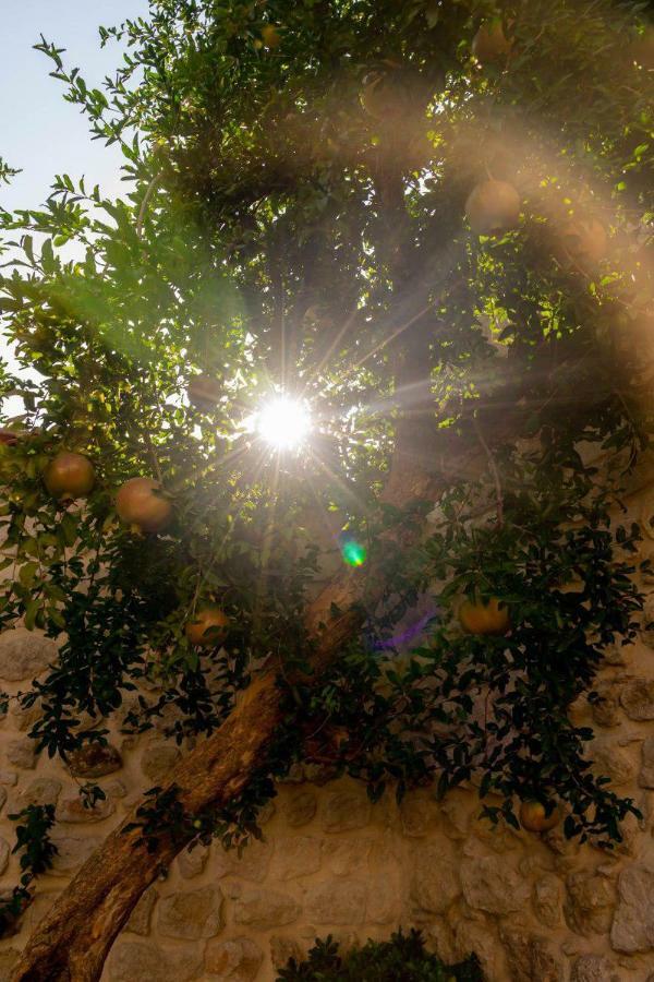 Yesil Ev Cafe & Boutique Hotel HATAY Eksteriør bilde